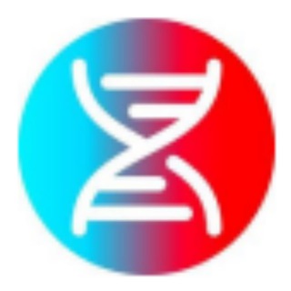 AirDrop games l КОМБО КАРТЫ крипто игр