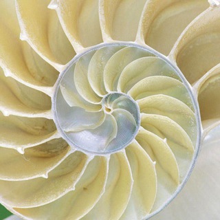 Мастер Меры - Сергей Виленович Крамской @AuraAkachaHipnoParapsyhologScool