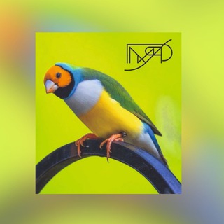 АМАДИНЫ ГУЛЬДА_MARIA🎨❤️🪺