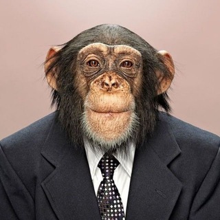 ANdex и крипта