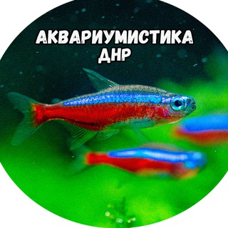 Аквариумистика ДНР