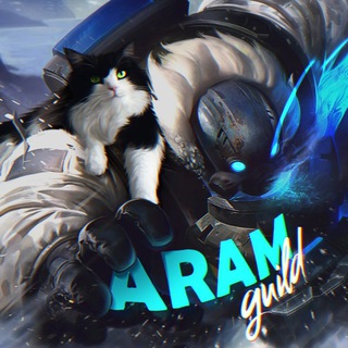 ARAM WILD RIFT