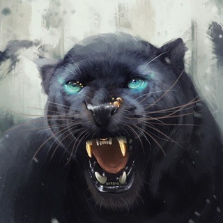 Арбитражный Пум