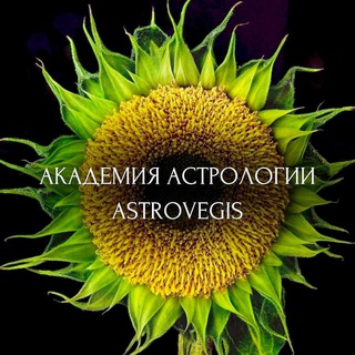 АСТРОЛОГИЯ АКАДЕМИЯ ASTROVEGIS
