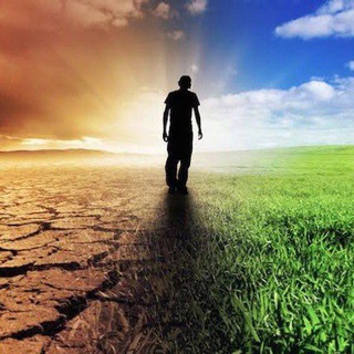 ✍️Verified Airdrop💎