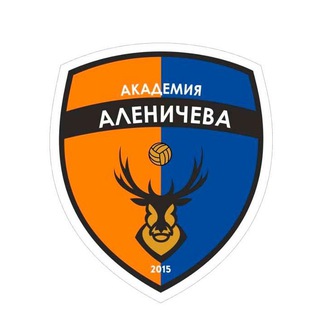 Академия Аленичева