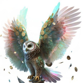 Сово Сова Авангард