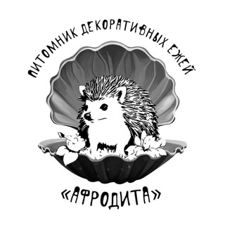 Питомник Афродита🦔