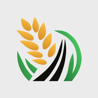 AgroGo.pro | Зерновозы