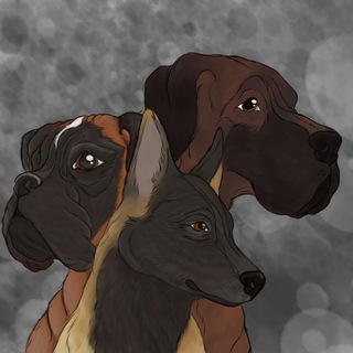 Перешли на новый тгк