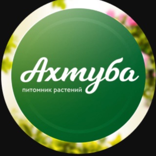 АХТУБА Садовый центр | Волжский