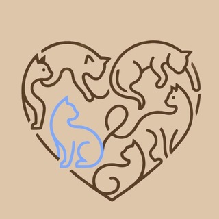 АЙЛУРОФИЛИЯ*