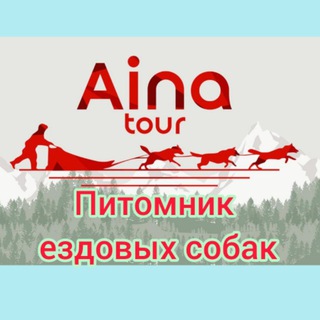 Айна Тур 🐾 Собачьи упряжки Сахалин🐕