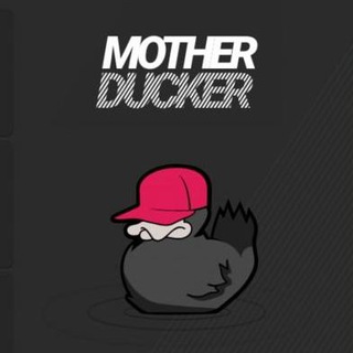 Akai MPC and Force Info