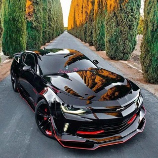 Автоподбор Грузии