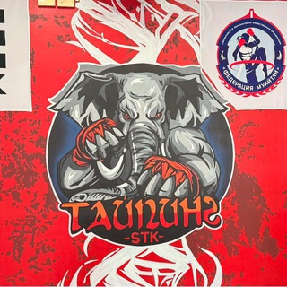 Тайпинг Клуб Чемпионов (Джинисян А.М.)