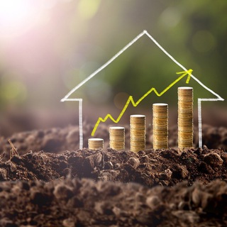 Портал инвестора Chat