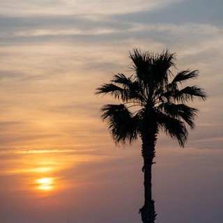 ИЗРАИЛЬСКИЕ НОВОСТИ ГЛАЗАМИ ТЕХ, ЧЬЕ МНЕНИЕ МЫ УВАЖАЕМ