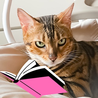 Alexeese_KK/книжный котик📚😻