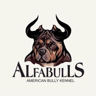 AlfaBullsOfficial