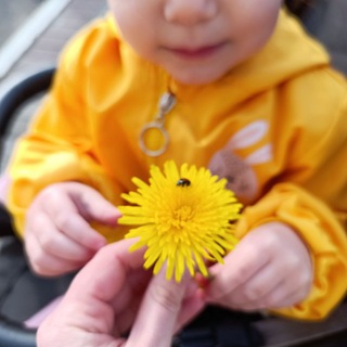 Алиса в стране детства