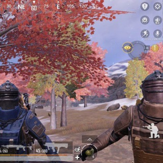 Максон на связи