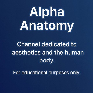 Alpha Anatomy🔞