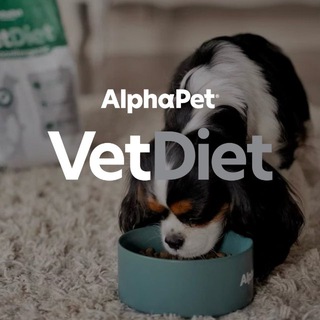 AlphaPet VetDiet – ветеринарное сообщество