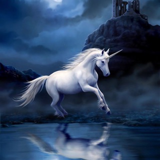 Юридическая Компания «Амбер»