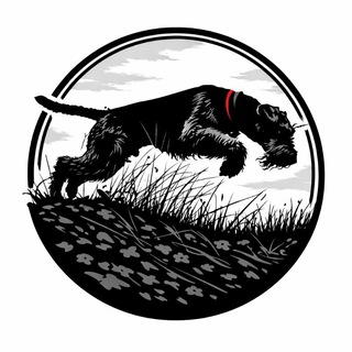 Amber Wald - Эрдельтерьеры и Ко