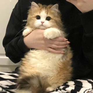 Глеб и Аминка 💖💖💖💛💛💛💗💗💗💞💞💞