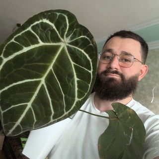 Амиран_Вырастил 🌿🌵