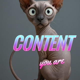 CONTENT you are