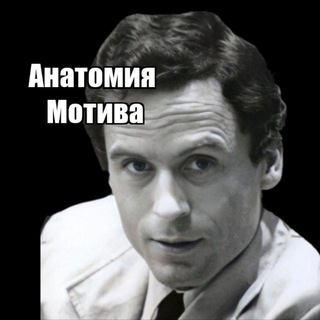 Анатомия Мотива