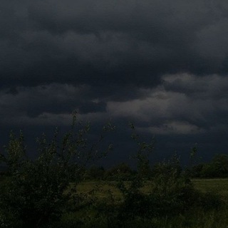 Фото/видео батлы