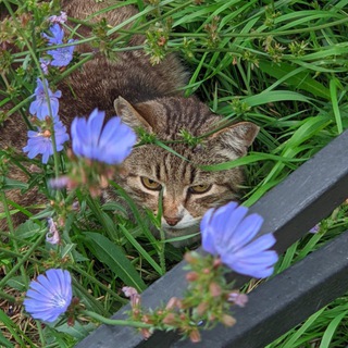 Андрей из Питера😘