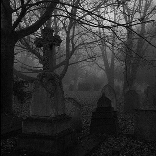 Раскопки разума