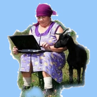 Удалёнка из села