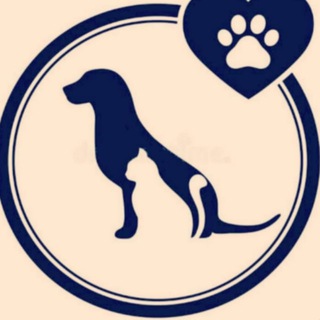 Приют для животных (временного и постоянного содержания) МУП "ДСУ"