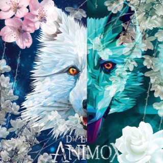 🪷 Анимоксы 🪷