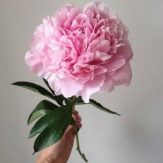 Anna Ruchkina Mindfulness Teacher