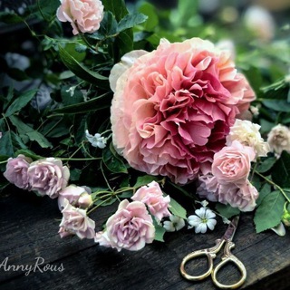 О пионах с любовью...