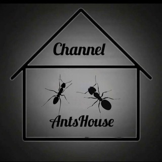 Ant'sHouse
