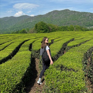 Аня, куда едем?