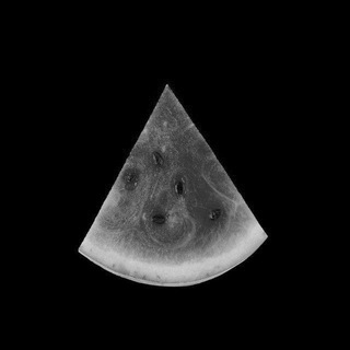 Арбуз🏴🍉 [ 𝗥𝗼𝗯𝗹𝗼𝘅 𝗦𝗰𝗿𝗶𝗽𝘁 ]