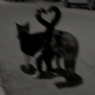 Туторы на лица зепето