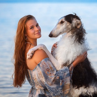 « Art In Fame » Русская Псовая Борзая | питомник FCI