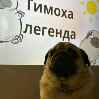 Astral Forge (Nasral)