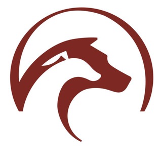 Ателье Софи | Пошив одежды для собак