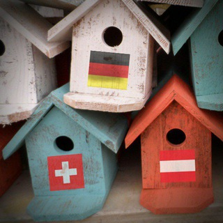 Тем временем на крыше